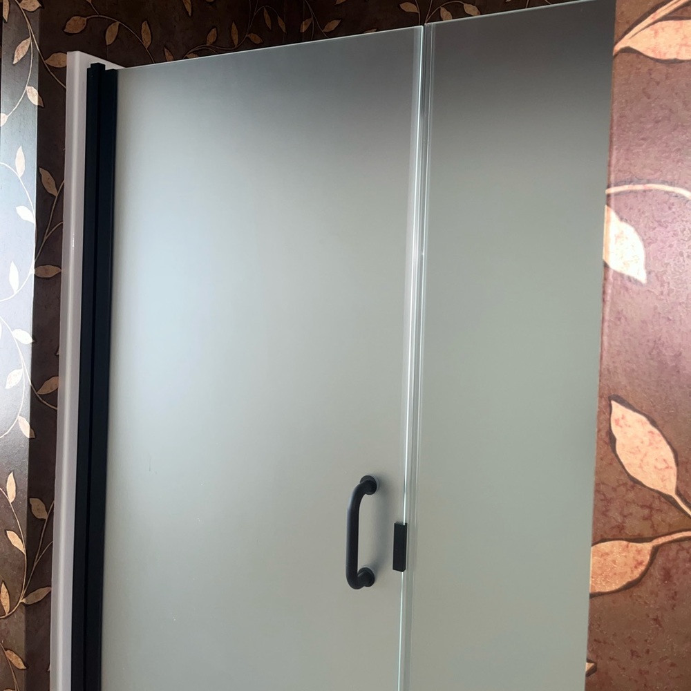 Shower Glass Door (modern chic)